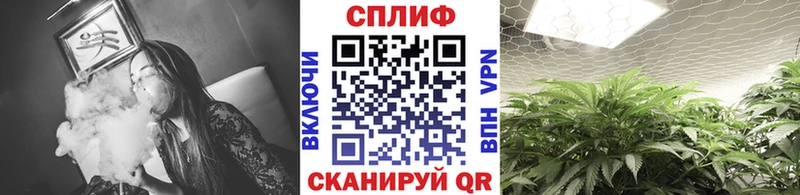 Каннабис VHQ omg ONION Череповец